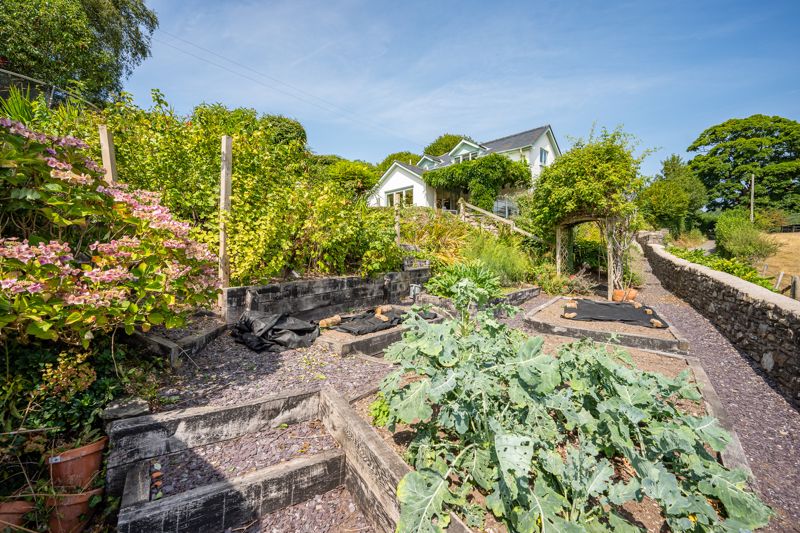 Garden- click for photo gallery